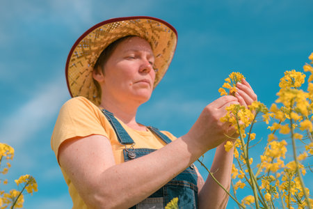 Female agronomist checking up on development of blooming rapeseed crops in field, woman working on...