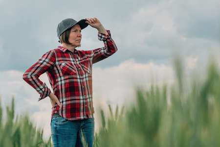 Responsible wheat farmer agronomist looking at her cultivated cereal crop agricultural field, female farm worker posing on farmlandの写真素材