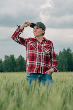 Responsible wheat farmer agronomist looking at her cultivated cereal crop agricultural field, female farm worker posing on farmlandの写真素材