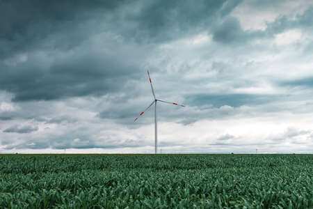 Green energy concept with wind turbines in cultivated agricultural field, renewable energy and sustainable resourcesの写真素材