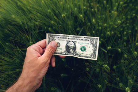 Barley cultivation profit concept, farmer holding american dollar banknotes in cultivated field, selective focusの写真素材