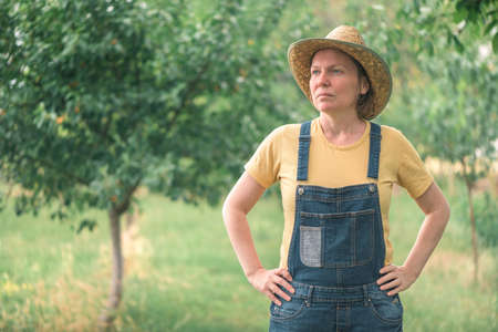 Portrait of female farmer posing in plum fruit orchard, woman farm worker with straw hat and bib overalls jeans examining plantationの写真素材