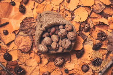 Fall season fruit flat lay top view, creative arrangement with dry autumn leaves decorationの写真素材