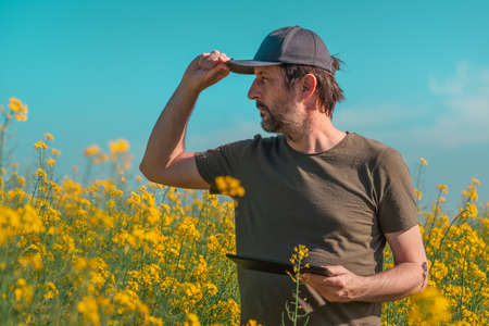 Male farmer using tablet in rapeseed field for digital tax record keeping, selective focusの写真素材