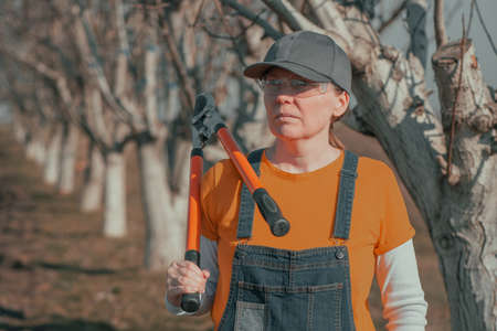 Female gardener posing with telescopic ratchet bypass lopper in walnut orchard ready for pruning on sunny spring dayの写真素材