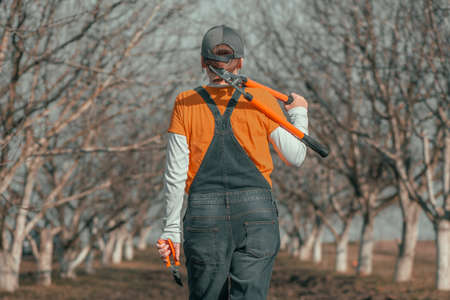 Female gardener posing with telescopic ratchet bypass lopper in walnut orchard ready for pruning on sunny spring dayの写真素材