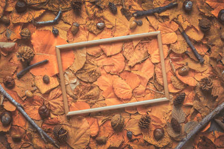 Empty picture frame on creative autumn layout, flat lay top viewの写真素材