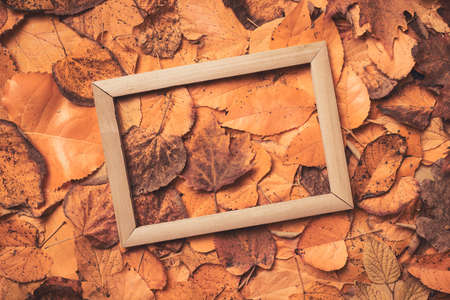 Flat lay empty picture frame on dry autumn leaves, top view imageの写真素材