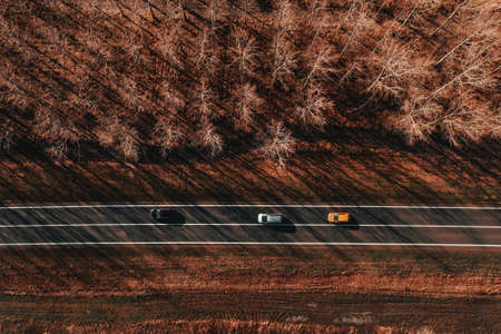 Three cars on the road through forest from above, drone pov aerial photographyの写真素材