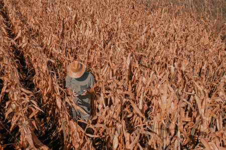Aerial shot of male agronomist and farmer using drone remote controller to examine plantation, modern technology and smart farmingの写真素材