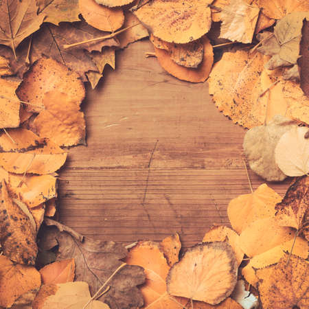 Creative autumn dry leaves background with copy space, flat lay top view of rustic wooden table with fall season deciduous foliageの写真素材