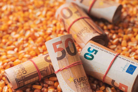Fifty euros bankrolls, rolled European Union currency money over harvest corn maize grain, selective focusの写真素材