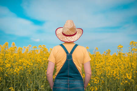 Rear view of female farmer agronomist standing in blooming rapeseed plantation, looking over crops and the horizonの写真素材
