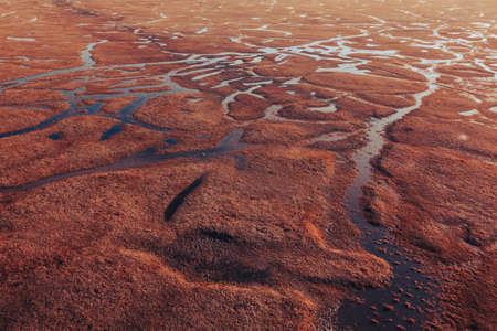 Flooded wetland landscape in sunny autumn afternoon, aerial shot from drone pov. Amazing scenery...
