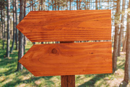 Two wooden direction board signs as copy space, signage in pine forest of Zlatibor, Serbiaの写真素材