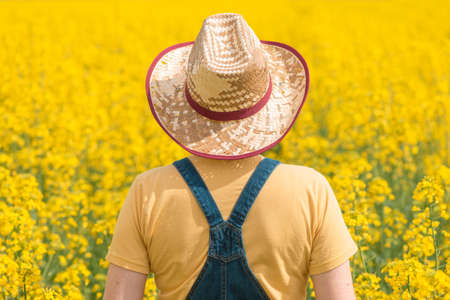 Rear view of female farmer agronomist standing in blooming rapeseed plantation, looking over crops...