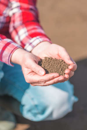 Female farmer holding soil in cupped hands, selective focusの写真素材