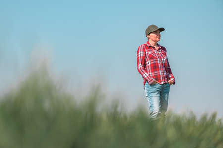 Portrait of female farmer in cultivated wheat seedling field, farm worker with plaid shirt and baseball capの写真素材