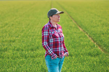 Portrait of female farmer in cultivated wheat seedling field, farm worker with plaid shirt and baseball capの写真素材