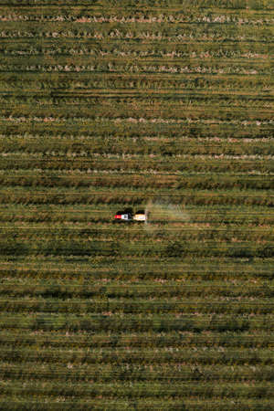 Aerial view of agricultural tractor with crop sprayer applying insecticide in apple fruit orchard, top viewの写真素材