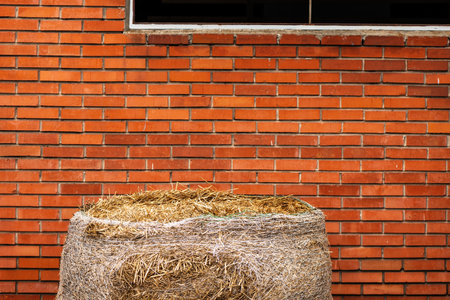 Hay bale against red brick wall on the ranch, agriculture and farming conceptの写真素材