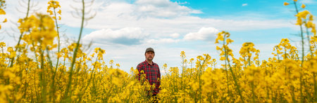 Farm worker wearing red plaid shirt and trucker's hat standing in cultivated rapeseed field in bloom...