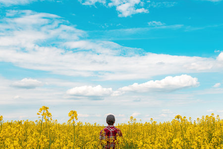 Farm worker wearing red plaid shirt and trucker's hat standing in cultivated rapeseed field in bloom and looking over crops, rear view with selective focusの写真素材