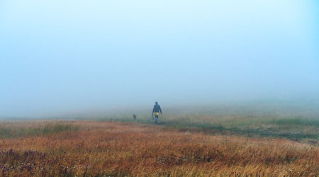 Man walking the dog through grass valley in foggy morning in autumnの写真素材