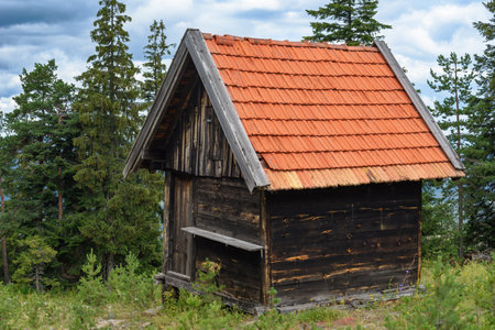 Wooden mountain cottage on Zlatibor, selective focusの写真素材