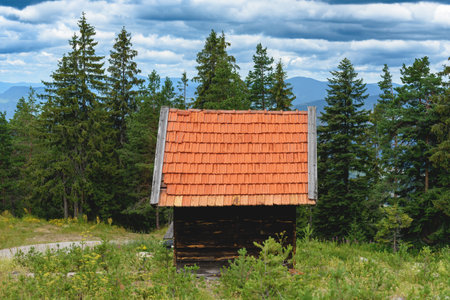 Wooden mountain cottage on Zlatibor, selective focusの写真素材