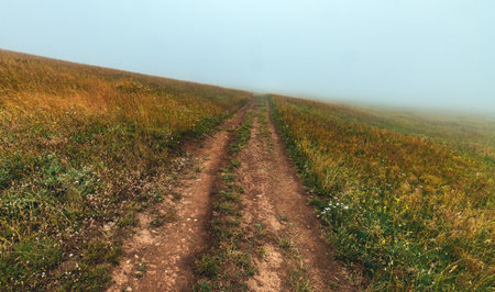 Empty dirt road through Zlatibor hills and meadow in diminishing perspective disappearing into fog,...