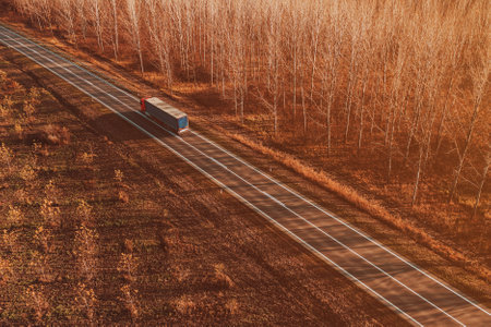 Semitrailer eighteen-wheeler truck on the road through deciduous forest landscape in autumn sunset, drone photography from aboveの写真素材
