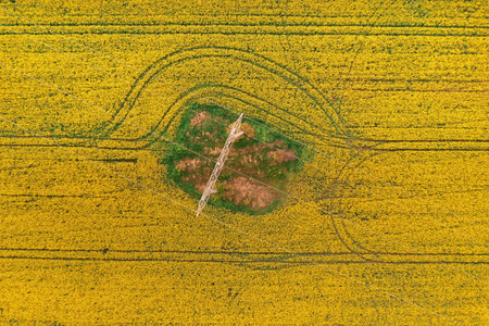 Electricity pylon and power lines over blooming rapeseed crops field, aerial view drone pov directly aboveの写真素材