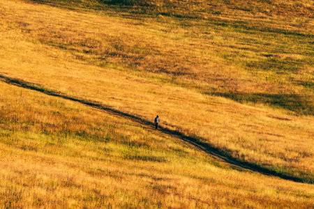 Zlatibor hiking outdoor activity, unrecognizable casual person walking through grass hill landscape on sunny summer day at this Serbian tourist resortの写真素材