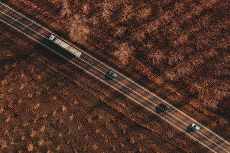 Long-vehicle truck and three cars driving on the road through deciduous forest in autumn sunset, top view drone photographyの写真素材