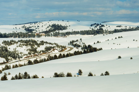 Empty road in winter landscape at Zlatibor, Serbiaの写真素材
