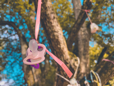 Baby pacifier hanging on the tree branch in Halmstad, Sweden - selective focus