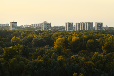New Belgrade city skyline over the Great War Island forest in sunsetの写真素材