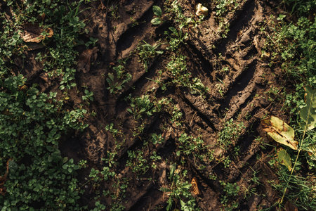 Agricultural tractor tire tracks in dirt road ground, top viewの写真素材