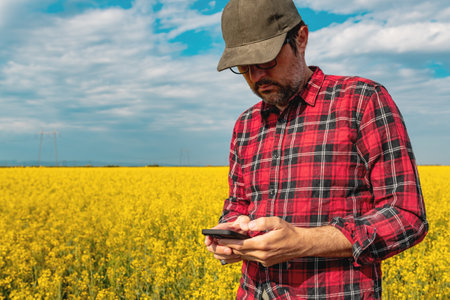 Rapeseed crop farmer using smartphone in blooming canola field. Farm worker wearing plaid shirt and trucker's hat with aid of innovative technology in agricultural activity. Selective focus.の写真素材