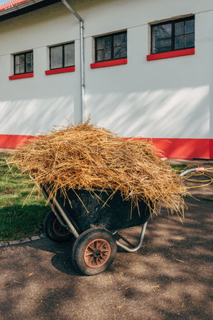 Wheelbarrow loaded with stable hay in front of equestrian ranch building, selective focusの写真素材