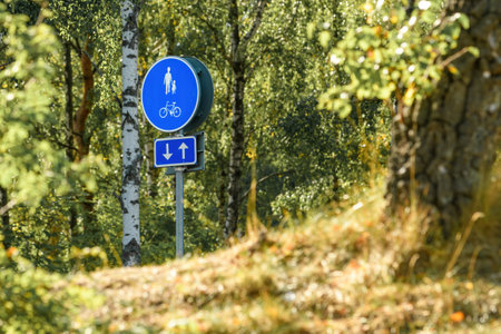 Pedestrian path and bicycle lane traffic sign in public park in Halmstad, Sweden. Selective focus.の写真素材