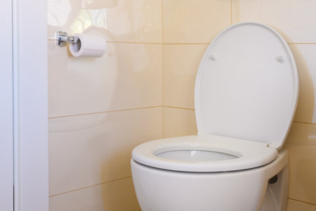 Toilet seat and roll of paper in restroom, selective focus