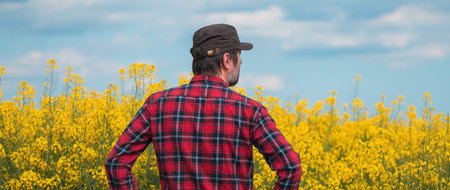 Rear view of concerned farm worker standing in blooming rapeseed field and looking over crops, selective focusの写真素材
