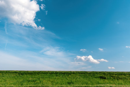 Sky over green meadow with lush grass as backgroundの写真素材