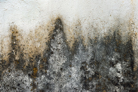Texture of an old dirty cement wall as backgroundの写真素材