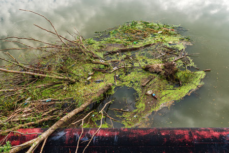 River dam with tree branches and garbage, high angle viewの写真素材