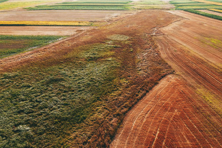 Aerial shot of countryside meadow in summer from drone pov, vast uncultivated grassland area and...