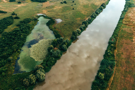 Aerial shot of Tamis river in plain landscape of Serbian province Vojvodina, drone pov
