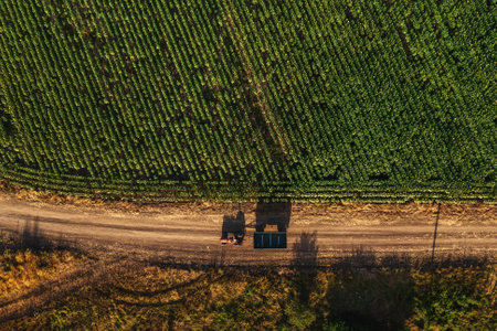 Agricultural tractor with empty wagon trailer on countryside dirt road in summer, casting shadow on...